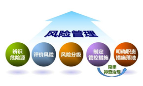 双体系